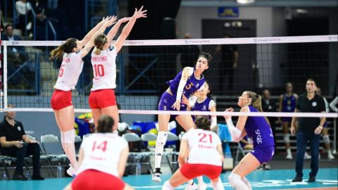 Фермер відкопав на своєму полі древні статуї