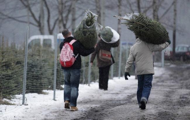 В Харькове "робингуды" отобрали елки у продавцов и раздали их прохожим