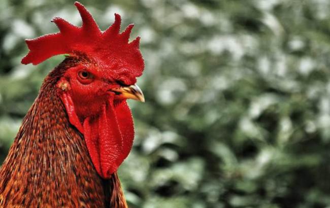 Гороскоп на сегодня, 18 ноября