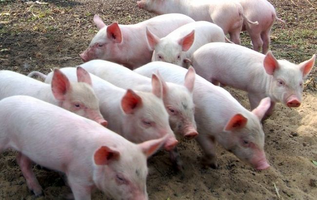 Госпродпотребслужба зафиксировала АЧС в Херсонской и Николаевской областях