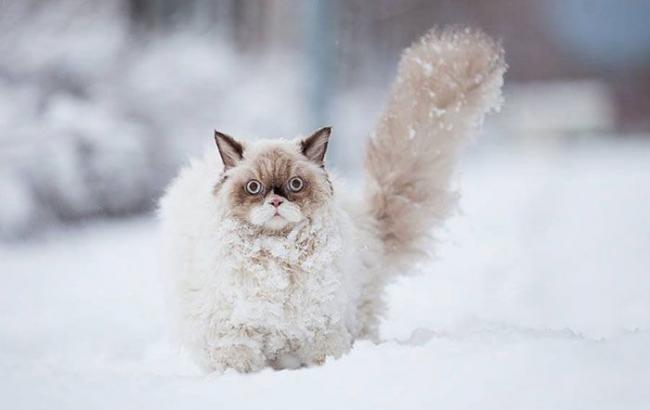 Погода на сьогодні: в Україні сніг з дощем, температура до +3