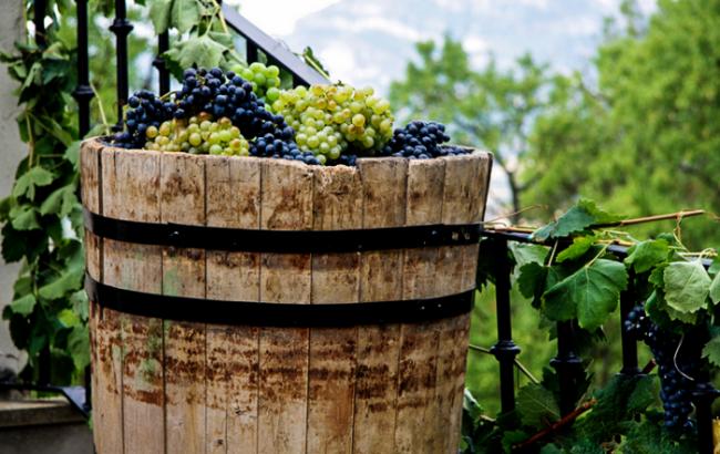Що потрібно для виробництва вина?