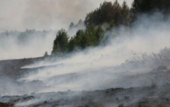 В Киевской области спасатели продолжают тушить 51,75 га торфяников