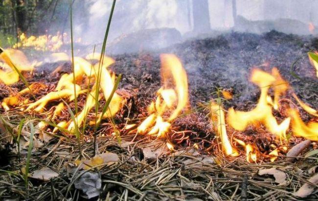 ГСЧС предупреждает о чрезвычайной пожарной опасности в Киевской области