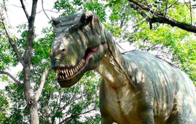 Ученые рассказали про "любовные игры" динозавров