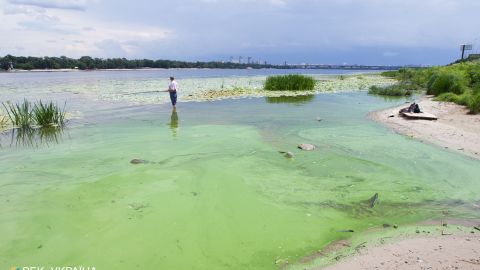 Ученые объяснили, почему Киевское море позеленело и превращается в болото