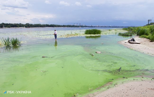 Вчені пояснили, чому Київське море позеленіло і перетворюється на болото