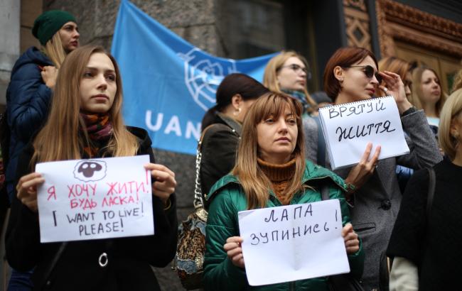 "Они должны жить!": зоозащитники пикетировали Госпотребслужбу из-за гибели овец в порту Черноморска (фото)