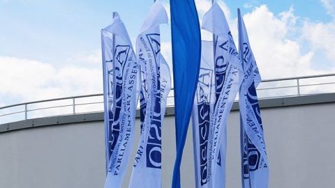 ОБСЄ ухвалила резолюцію проти "Турецького потоку" і "Північного потоку-2"