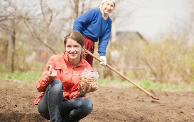 Коли треба садити город після Великодня: що кажуть традиції