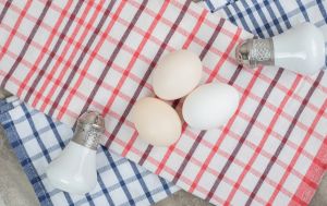 Ці рушники мають бути на кожній кухні: користь вас здивує