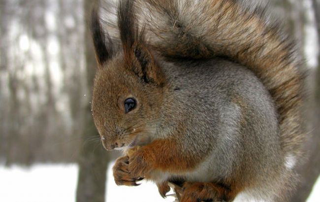 Погода на завтра: в Украине без осадков, температура до +11