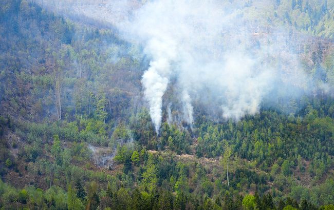 Масштабну пожежу у лісах Карпат локалізували на третій день (фото)