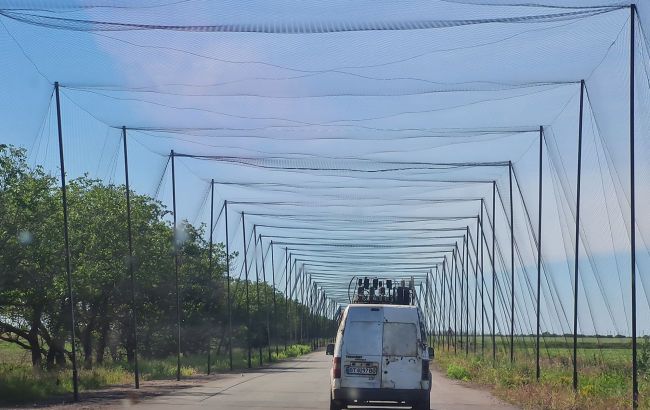 В Україні суттєво розширили кількість доріг з антидроновим захистом: свіжа статистика