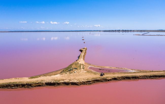 Украинцев поразил вид с высоты на Розовое озеро: впечатляющие фото и видео