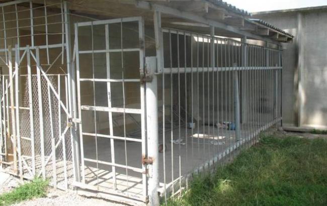 В Черкаській області в інтернаті хворих пацієнтів тримають у клітці