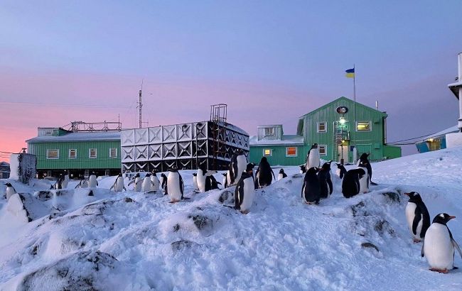 Новую украинскую экспедицию в Антарктику возглавил полярник-боец ГПС