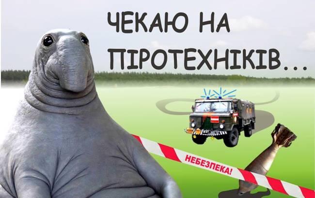 В Сумской области мужчина нашел на свалке артиллерийский снаряд и решил его перевезти