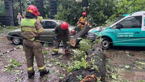 Затримка потягів, повалені дерева та постраждалий: наслідки негоди на заході України
