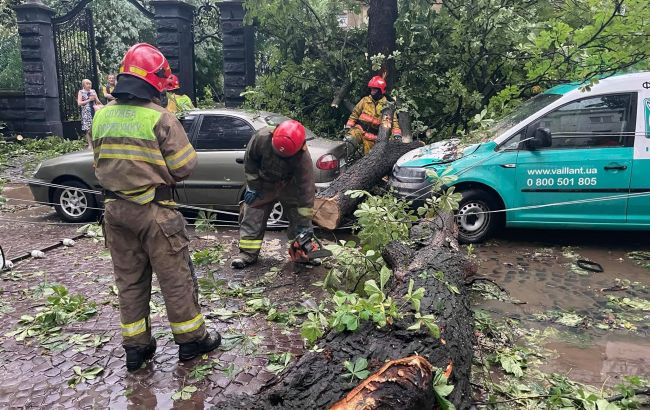 Затримка потягів, повалені дерева та постраждалий: наслідки негоди на заході України