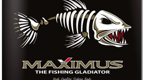 Топ лучших спиннингов 2019 года: рекомендации по выбору