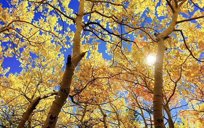 Погода на сьогодні: в Україні переважно без опадів, температура до +18