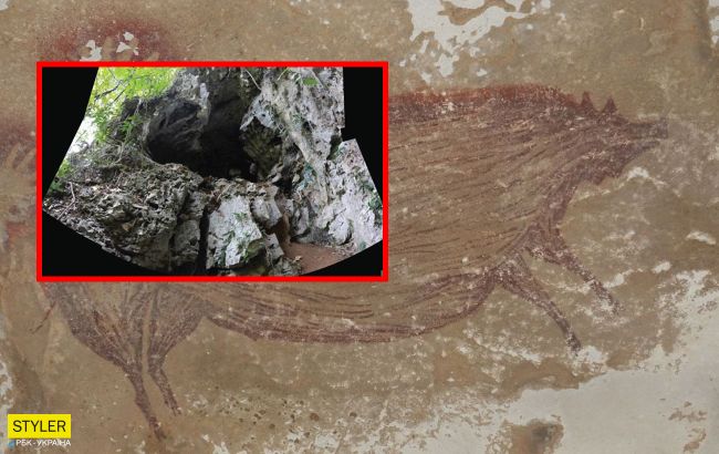 В Индонезии нашли второй по древности наскальный рисунок животного, которое любят в Украине