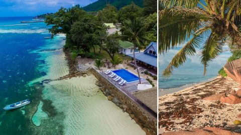 Атаки насекомых и пляжи без удобств: туристам раскрыли "изнанку" отдыха на курортных островах