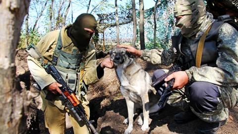 Міноборони озвучило нові зарплати військових у зоні АТО