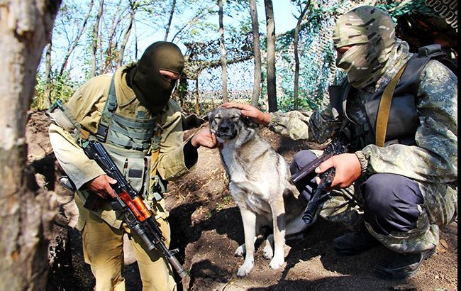 Минобороны озвучило новые зарплаты военных в зоне АТО