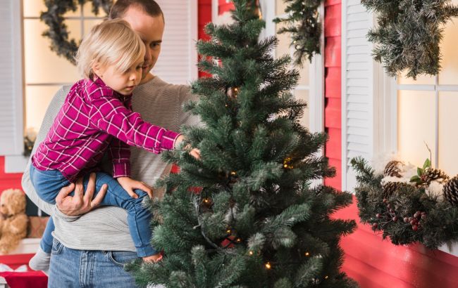 Живая елка в доме: как она может навредить организму