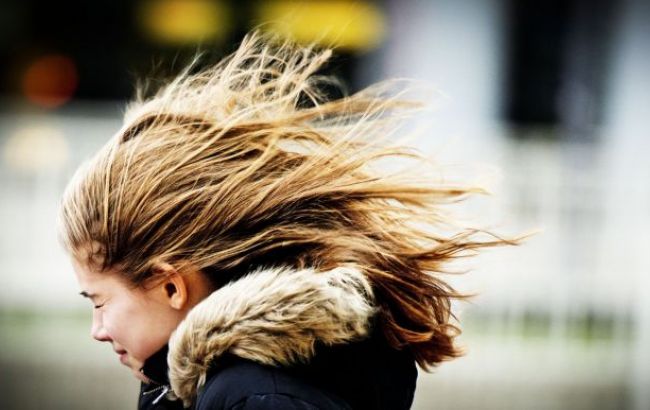 Синоптики предупреждают о сильных порывах ветра и дожде в Киеве