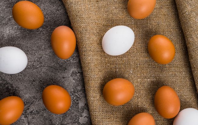 Болгария потребовала от ЕС защиты от возросшего импорта яиц из Украины