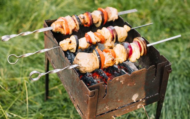 Можно ли делать шашлык в лесу в 2024 году: действующие запреты