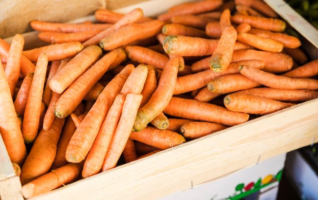 Как хранить морковь на зиму, чтобы она не заплесневела