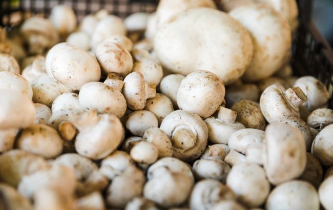 33-летний украинец отравился грибами, очень похожими на шампиньоны: как они выглядят