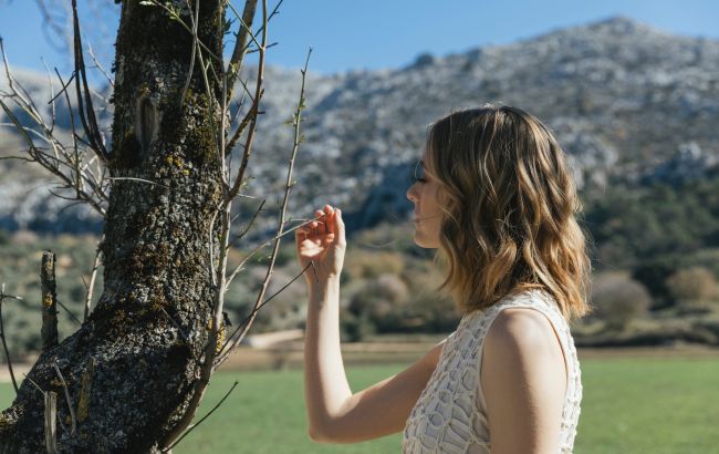 Дерево внезапно сочится осенью: когда это норма, а когда - признак болезни