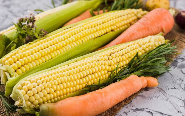 Кукурудза цілий рік: секрети правильної заморозки