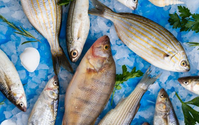 5 головних правил, як вибрати якісну свіжу рибу. Вони вбережуть здоров'я і гроші