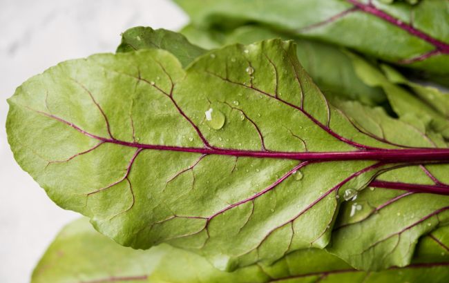 Листья свеклы - суперфуд или отходы? Ответ удивит всех