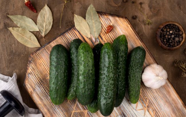 Сколько и как лучше хранить огурцы, чтобы они не гнили