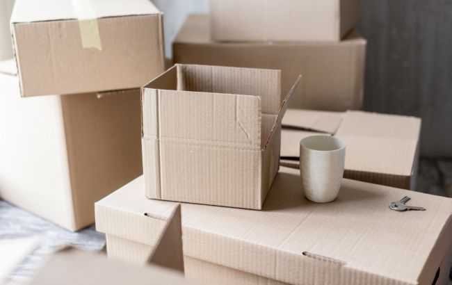 5 вещей, которые не следует хранить в картонных коробках: причина удивит