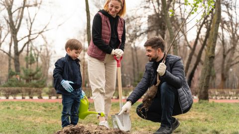 Что сажать осенью в саду: деревья и кусты, которые хорошо приживутся