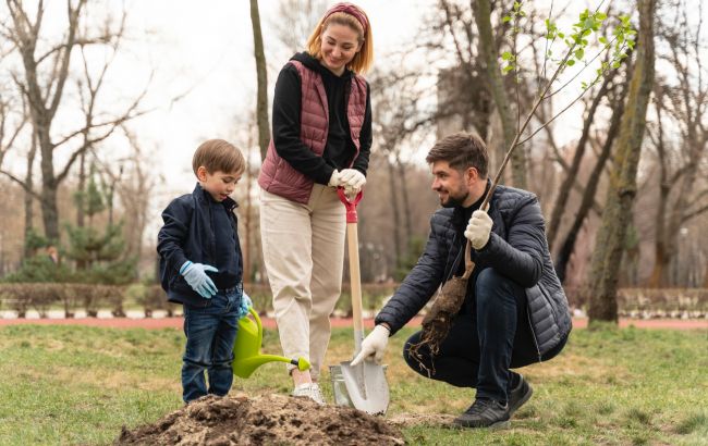 Что сажать осенью в саду: деревья и кусты, которые хорошо приживутся