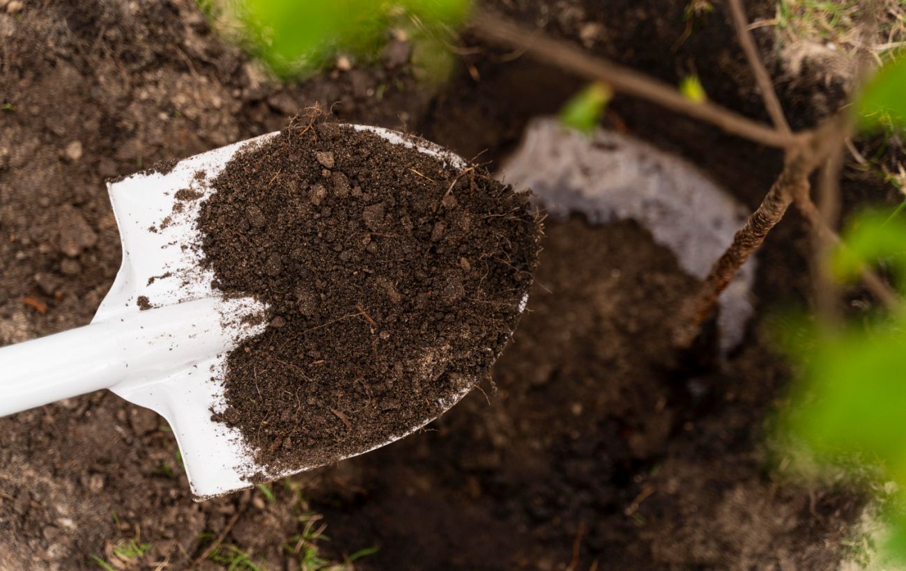 Ґрунт не отримує користі: головна помилка під час мульчування
