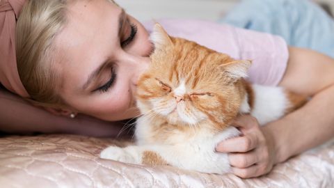 Ваш любимец это оценит. Вот 9 способов сказать люблю "кошачьим языком"
