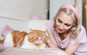 Чому наші предки уважно стежили за котами: прикмети, які працюють досі