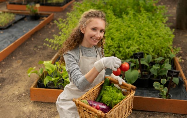 Календар городника на серпень: коли займатися рослинами, а коли варто відпочити