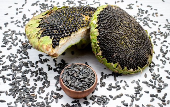 Сколько калорий в семечках подсолнечника? Тренер удивил цифрой