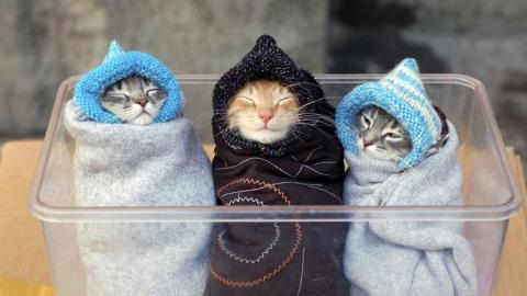 В Україні до 2 жовтня утримається прохолодна погода